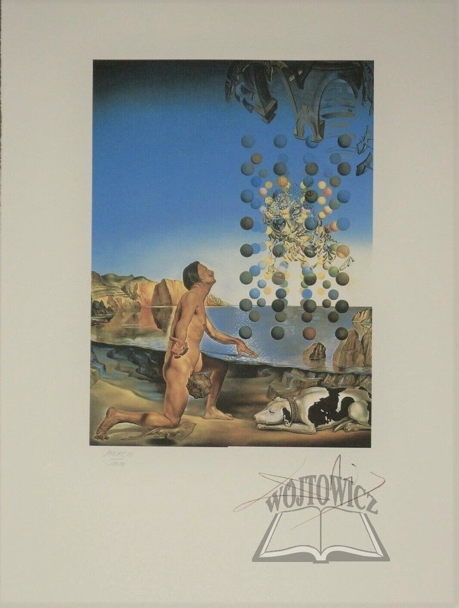 DALI Salvador 1904 Figueres 1989 Dali Nude In Contemplation