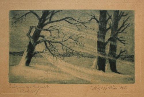 Zadymka na Kujawach, Stanisław Wojewódzki