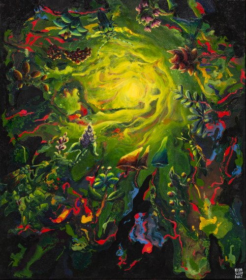 Nadobnica alpejska, 2019, Barbara Kozaczkiewicz