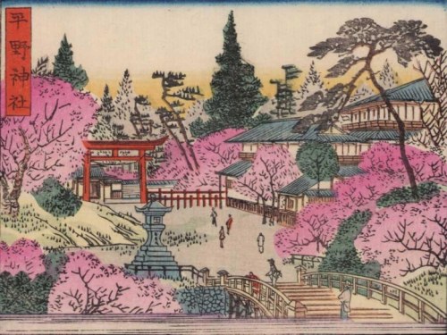 „Sakura w Kioto”, ok. 1880 r.,, Matsukawa Hanzan
