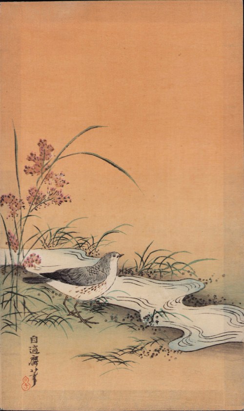 Bekas, z albumu „Chorui Gafu”, 1898, Numata Kashū