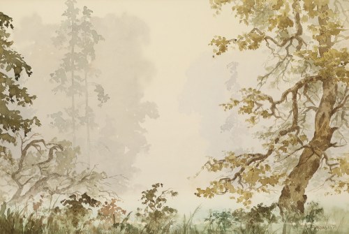 Drzewa we mgle, 1974, Lucjan Falkowski