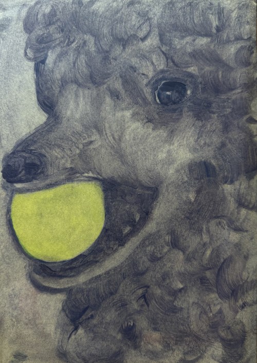 Untitled, 2020, Monika Chlebek