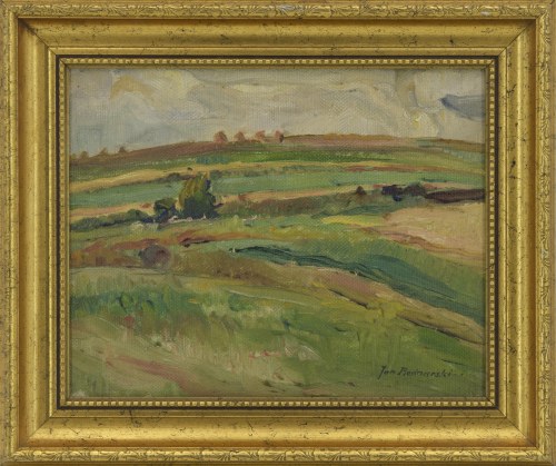 Pejzaż, Jan Bednarski