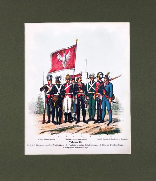 Wojsko Polskie Kościuszki, 1894, Michał Stachowicz
