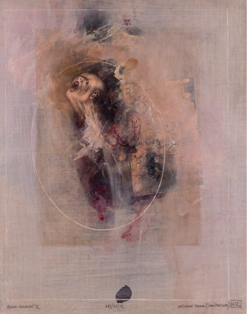 Welcome Home (Sanitarium) No 2, 2012, Adam Nowacki