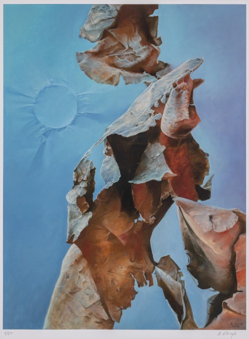 Galatea, Andrzej Olczyk