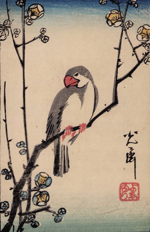 Ryżowiec siwy na kwitnącej śliwie, 1917 r., Ippitsusai Bunchō