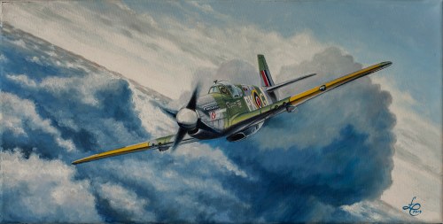 P-51B (E. Horbaczewski), 2019, Łukasz Czernicki