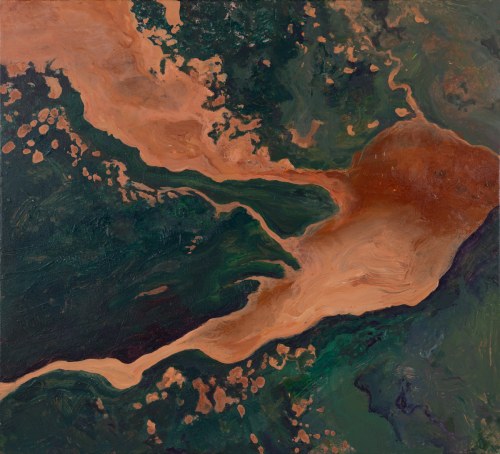 Earth View 05: Kongo, 2026, Bożena Zajiczek-Panuś