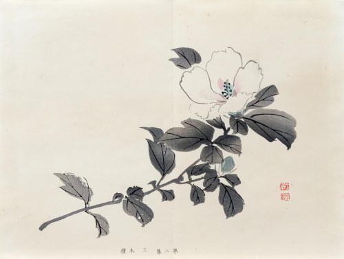 Róża chińska, z serii: Sto motywów do nauki malarstwa, wyd. Yoshikawa Hanshichi, Tokio/Japonia, 1898 r., Kawabata Gyokusho