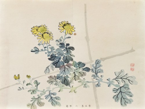 Złocień zimowy, z serii: Sto motywów do nauki malarstwa, wyd. Yoshikawa Hanshichi, Tokio/Japonia, 1898 r., Kawabata Gyokusho