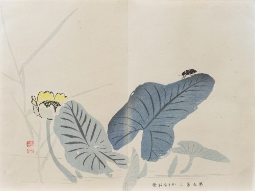 Świetlik i grążel wodny, z serii: Sto motywów do nauki malarstwa, wyd. Yoshikawa Hanshichi, Tokio/Japonia, 1898 r., Kawabata Gyokusho