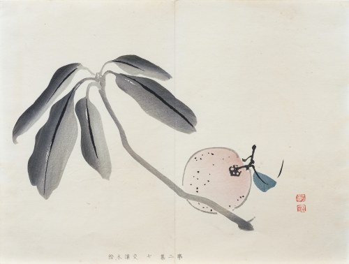 Owoc daidai, z serii: Sto motywów do nauki malarstwa, wyd. Yoshikawa Hanshichi, Tokio/Japonia, 1898 r., Kawabata Gyokusho