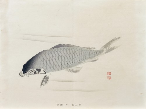 Karp, z serii: Sto motywów do nauki malarstwa, wyd. Yoshikawa Hanshichi, Tokio/Japonia, 1898 r., Kawabata Gyokusho