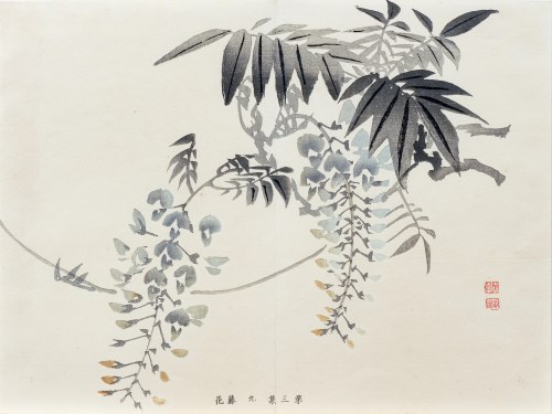 Kwiat wisterii, z serii: Sto motywów do nauki malarstwa, wyd. Yoshikawa Hanshichi, Tokio/Japonia, 1898 r., Kawabata Gyokusho