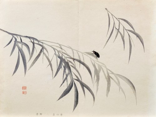 Świetlik i wierzba, z serii: Sto motywów do nauki malarstwa, wyd. Yoshikawa Hanshichi, Tokio/Japonia, 1898 r., Kawabata Gyokusho