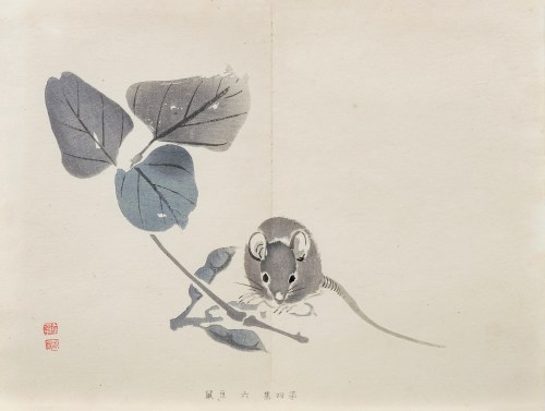 Szczur i fasola, z serii: Sto motywów do nauki malarstwa, wyd. Yoshikawa Hanshichi, Tokio/Japonia, 1898 r., Kawabata Gyokusho