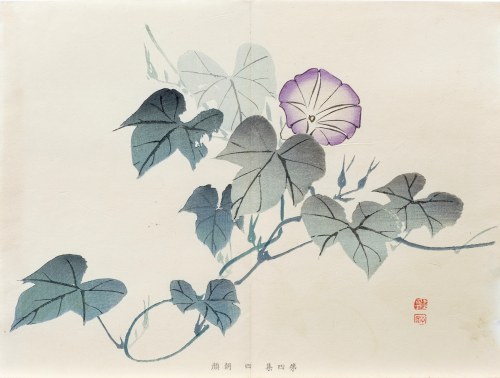 Wilec purpurowy, z serii: Sto motywów do nauki malarstwa, wyd. Yoshikawa Hanshichi, Tokio/Japonia, 1898 r., Kawabata Gyokusho