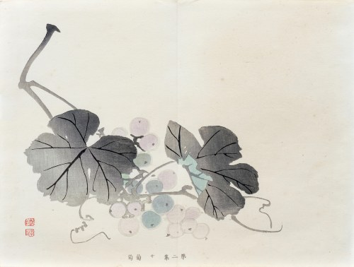 Winogrona, z serii: Sto motywów do nauki malarstwa, wyd. Yoshikawa Hanshichi, Tokio/Japonia, 1898 r., Kawabata Gyokusho