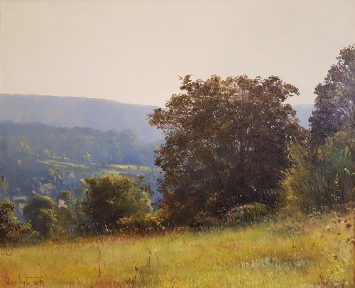 Słoneczne wzgórze, Vladimir Vilenchyts