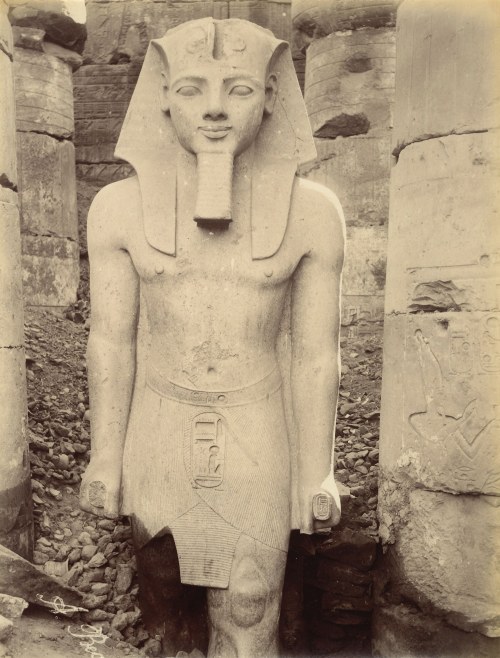 Antonio Beato (1825–1905) – Luksor, Posąg Ramzesa, lata 70. XIX wieku, Antonio Beato