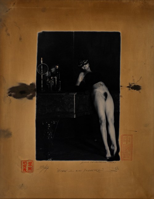 China Hamilton (1946) – „Within 1 am Pleasure”, lata 90. i 2000., China Hamilton