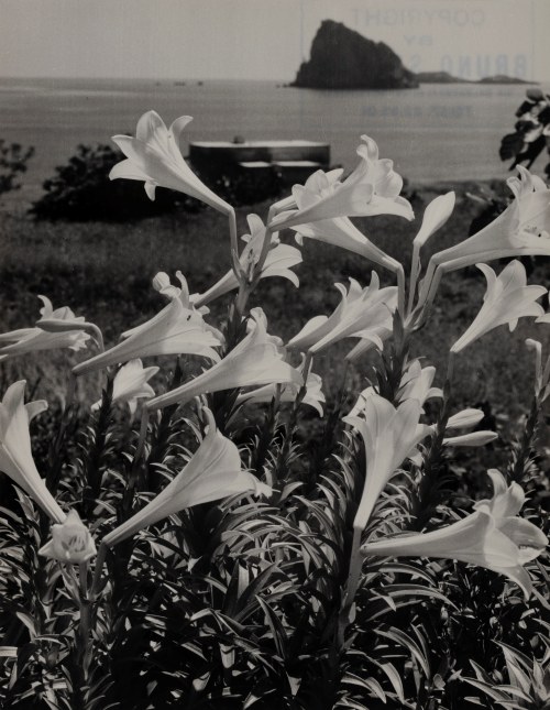 Bruno Stefani (1901–1976) – Dattilo-Panarea, Wyspy Eolskie, lata 40. XX wieku, Bruno Stefani