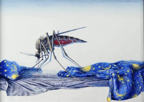 KO MARY, 2016, Andrzej Żygadło