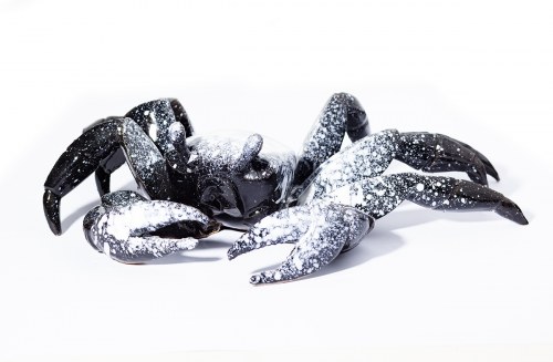 Krab czarny, 2019, Aneta Śliwa