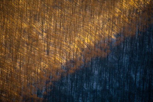 Bieszczady, 2019, Marcin Bawiec