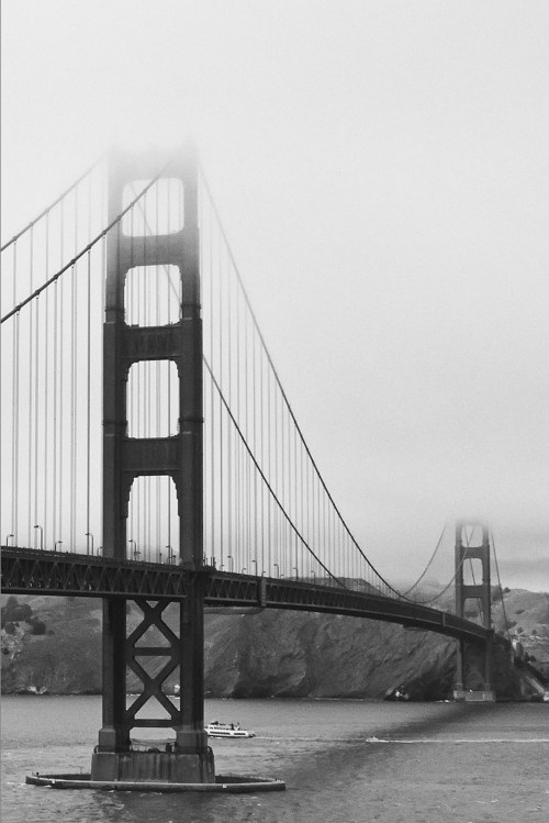 Bridge, 2013, Adam Ksieniewicz