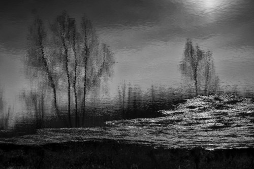 Reflection, Krzysztof Stós