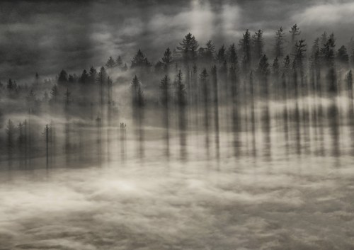 Shadows, 2011, Zygmunt Trylański