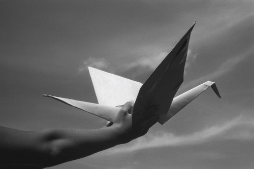 Crane, Grzegorz Wójcik