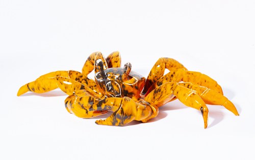 Krab pomarańczowy, 2019, Aneta Śliwa