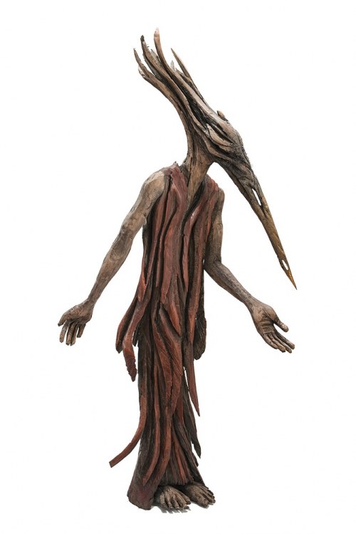 Nielot Leśny, 2019, Marcin Myśliwiec