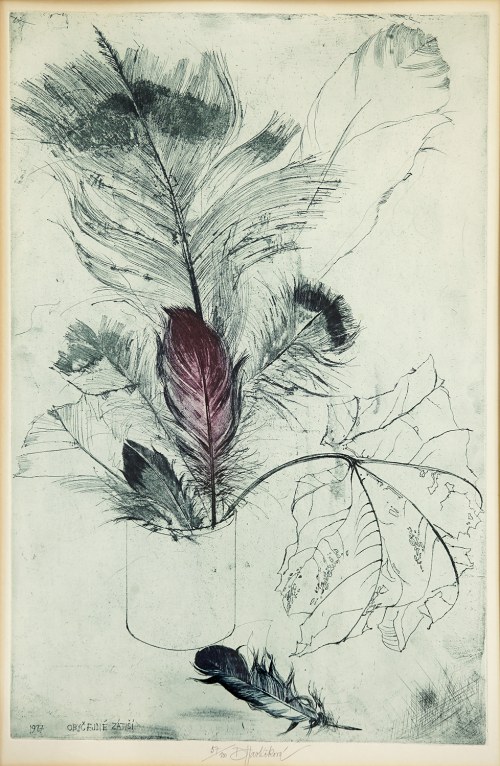 Obyčejný Zátiší, 1987, Daniela Havlíčková
