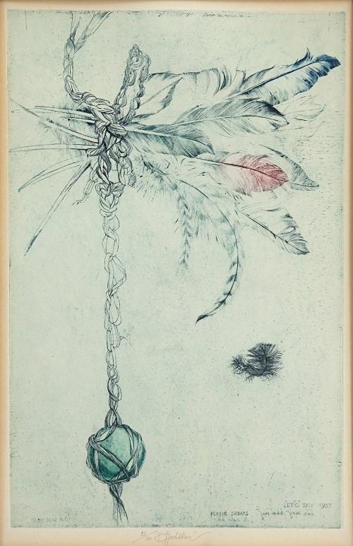 Flying dreams, 1987, Daniela Havlíčková