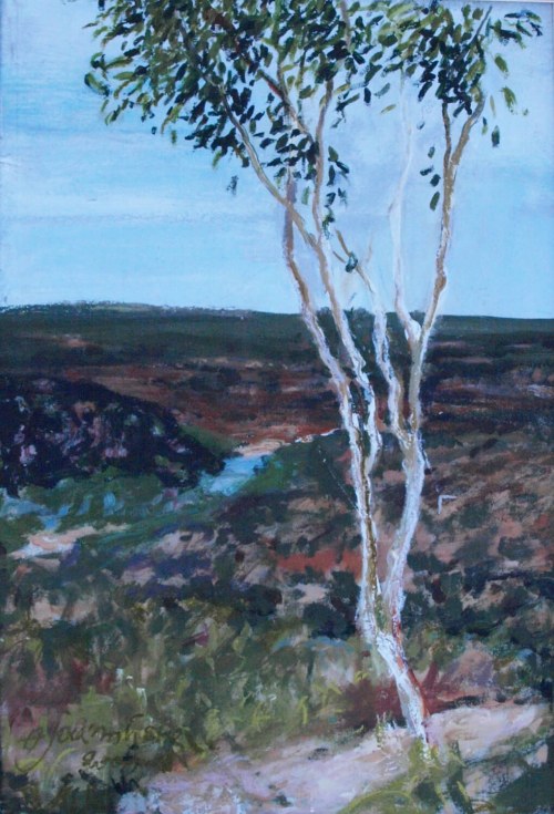 Eukaliptus, 2006, Aneta Jaźwińska