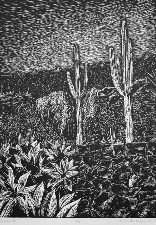 Lanzarote, 2020, Aleksandra Drogosz