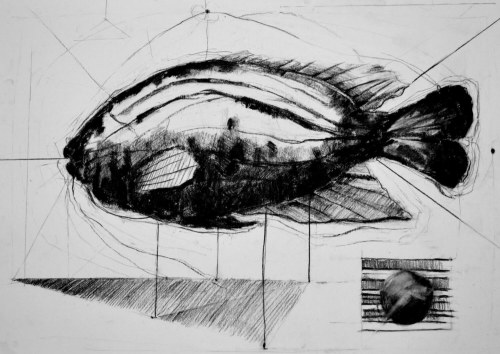 z cyklu "Ryby", 2013, Aleksander Myjak