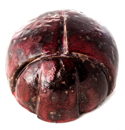 Żuk I, 2019, Sylwia Ozimek