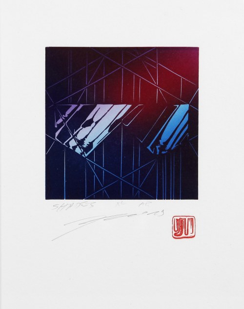 Shades, z cyklu [MIKRO CYBER], 2019, Jakub Jaszewski