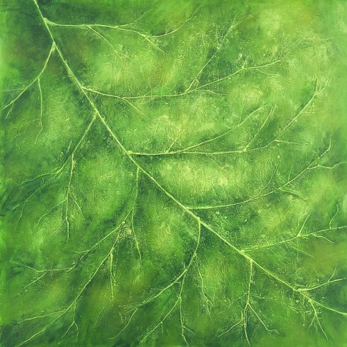 Bio 4, 2019, Marta Tymińska