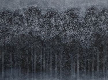 Głęboki las, Tomasz Mistak