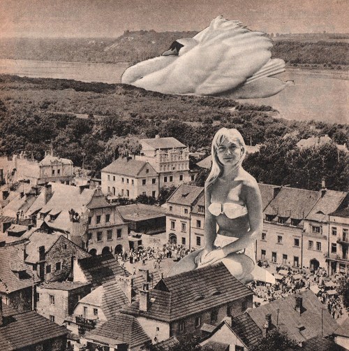 Dziewczyna, Julia Wakuła