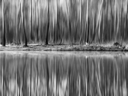 Reflection, 2018, Jan Brdej