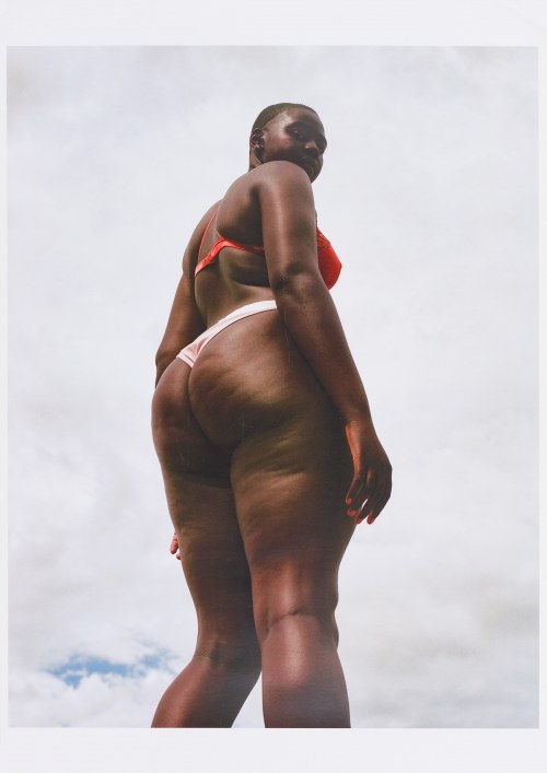 Graceful. Serena, 2018, Zuzanna Krajewska