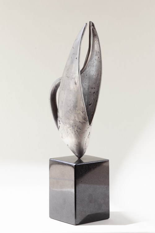 Nasionko, 2013, Aneta Śliwa